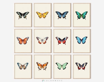 12 tirages papillon vintage | Art mural minimaliste coloré | Décor papillon | Cadeaux Papillon | Téléchargement numérique PRINTABLE Gallery Wall Set