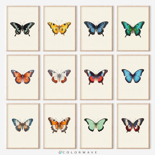 12 Vintage Butterfly Prints | Colorful Minimalist Wall Art | Butterfly Decor | Butterfly Gifts | Digital Download PRINTABLE Gallery Wall Set