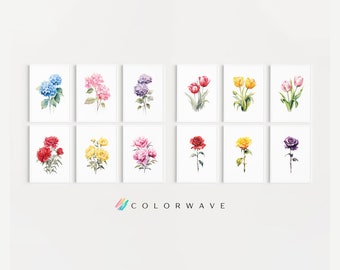 Set Of 12 Watercolor Flower Print | Minimalist Botanical Wall Art | Colorful Floral Wall Decor | Digital Download PRINTABLE Gallery Wall Set