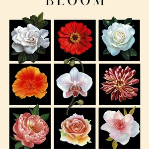 Bloom Collection Print