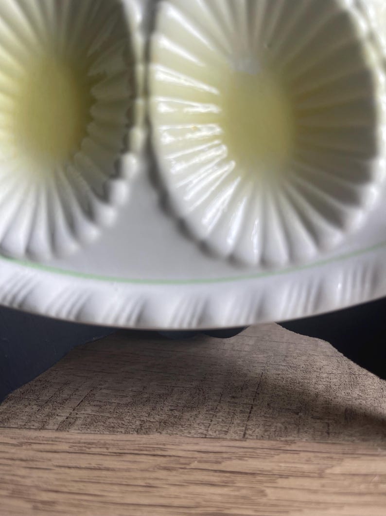 May include: A white ceramic egg tray featuring multiple oval-shaped indentations with a sunburst pattern. The edges of the tray are decorated with a delicate, repeating scalloped texture and a thin, pale green line encircling the perimeter.