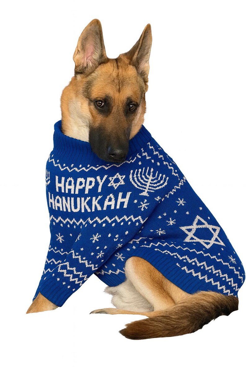 Puppy for hanukkah music video
