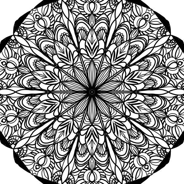 Succulent Mandala 04