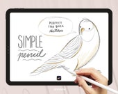Simple Pencil brush, realistic sketching brush for iPad