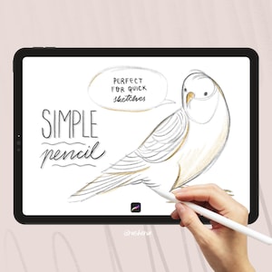May include: A digital drawing of a bird on a white background. The text "SIMPLE pencil" is written in black on the left side of the image. A speech bubble above the bird says "PERFECT FOR QUICK sketches".