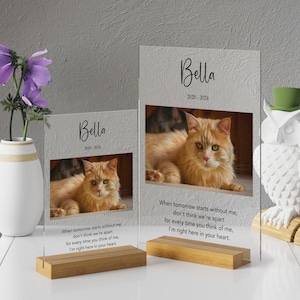 Pet Memorial Night Light, Custom Pet Plaque, Pet Night Light, Custom Pet Photo, Pet Memorial Frame, Gifts for Pets, Cat Dog Loss Gift