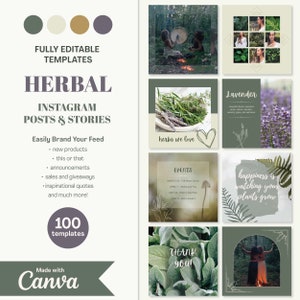 Pu&ograve; includere: Un set di 100 modelli personalizzabili per post e storie di Instagram per aziende di erbe. I modelli presentano uno schema di colori verde e bianco con illustrazioni botaniche e testo che dice "Herbal Instagram Posts & Stories" e "Easily Brand Your Feed".