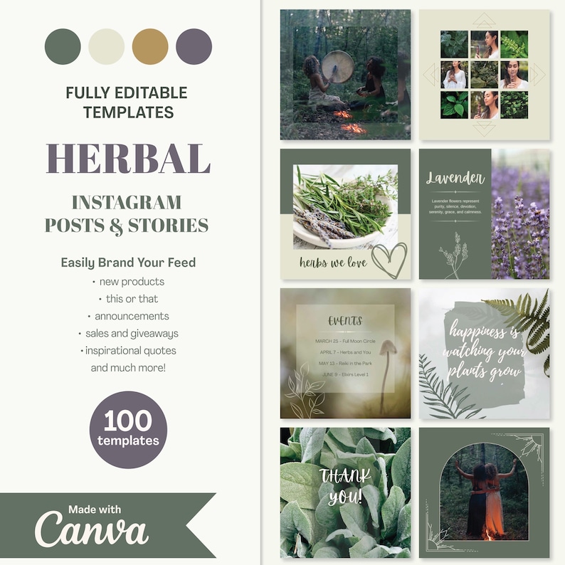 Pu&ograve; includere: Un set di 100 modelli personalizzabili per post e storie di Instagram per aziende di erbe. I modelli presentano uno schema di colori verde e bianco con illustrazioni botaniche e testo che dice "Herbal Instagram Posts & Stories" e "Easily Brand Your Feed".
