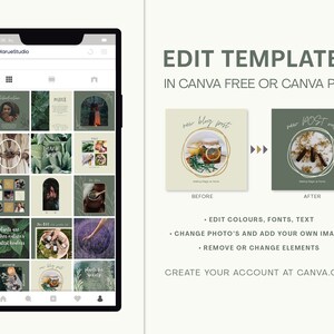 Pu&ograve; includere: Un set di 16 modelli di post Instagram con uno schema di colori verde e beige. I modelli presentano immagini di piante, erbe e barattoli di miele. Il testo sui modelli include "nuovo post del blog", "le piante sono i pi&ugrave; grandi guaritori della madre natura" e "piante per la purezza".