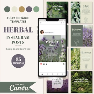 Herbal Instagram Post Templates: Green Witch Canva Designs (Digital Download)