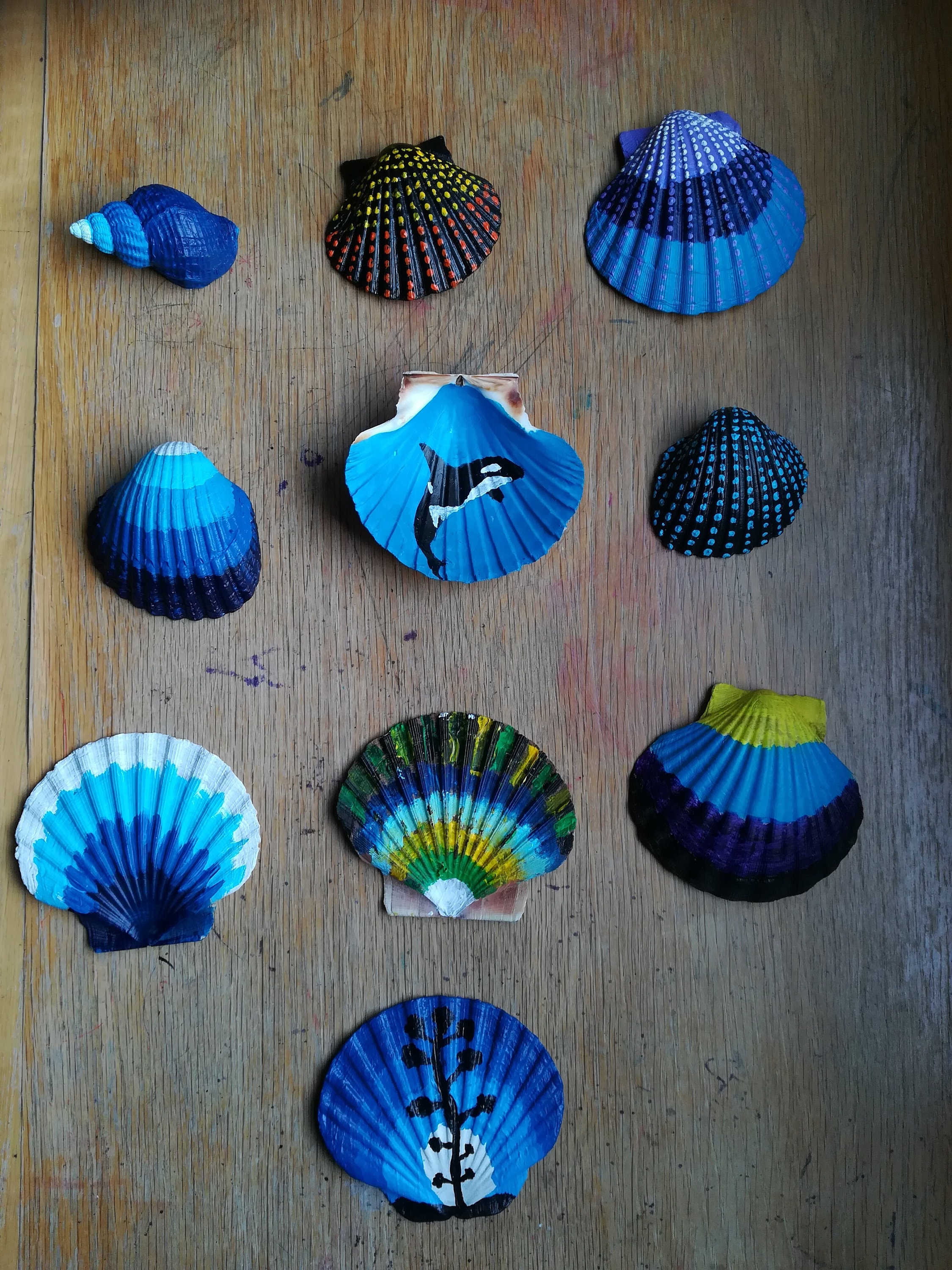Seashell Designs - Etsy