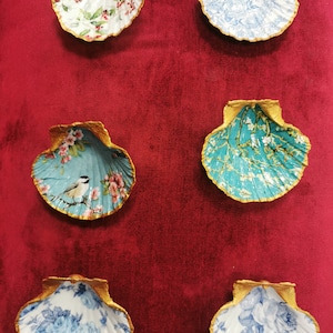 Muscheldesigns
