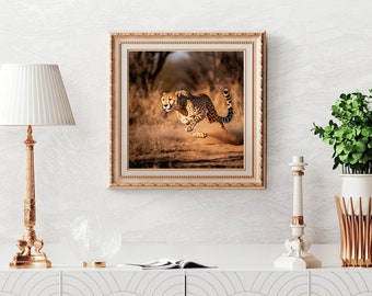 Cheetah Wall Art, Safari Cheetah Photo, African Savanna Poster, Wildlife Photography