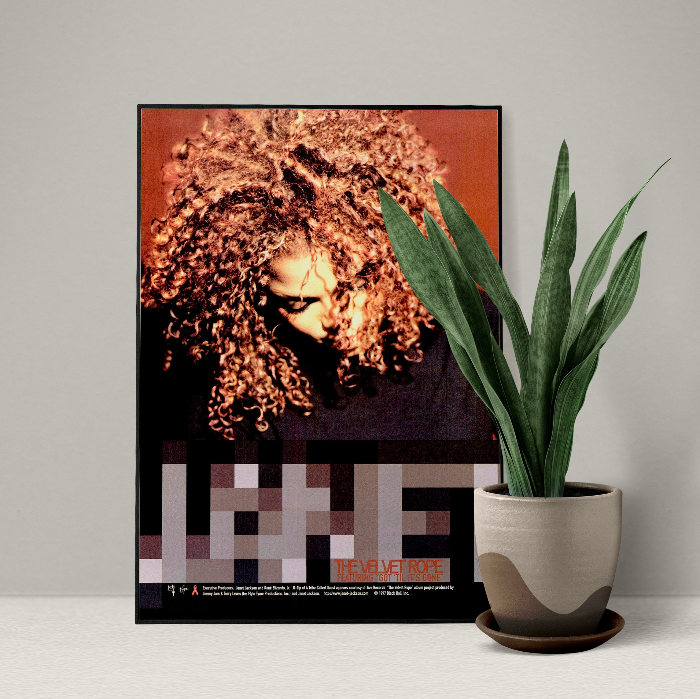 Janet Jackson - the Velvet Rope Poster - 90s Hip Hop/rap