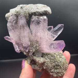 Vera Cruz Amethyst Cluster | Amethyst Specimen | Natural Amethyst