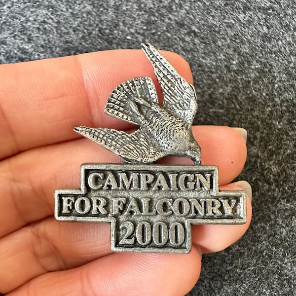 2000 Campaign for Falconry Bird of prey Falcon Bird handling A R Brown Pewter lapel pin badge brooch