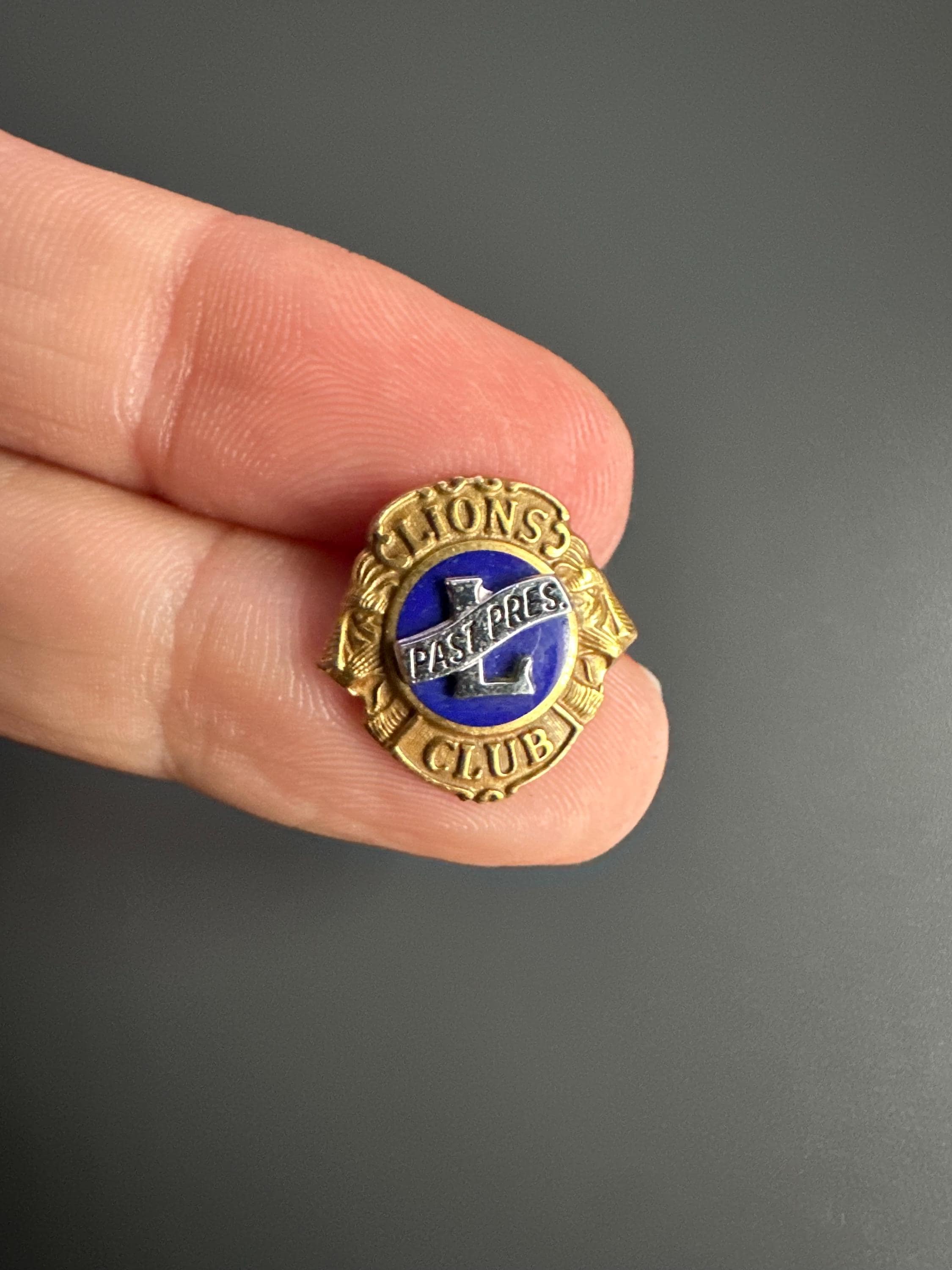 Lions club pins - Etsy 日本