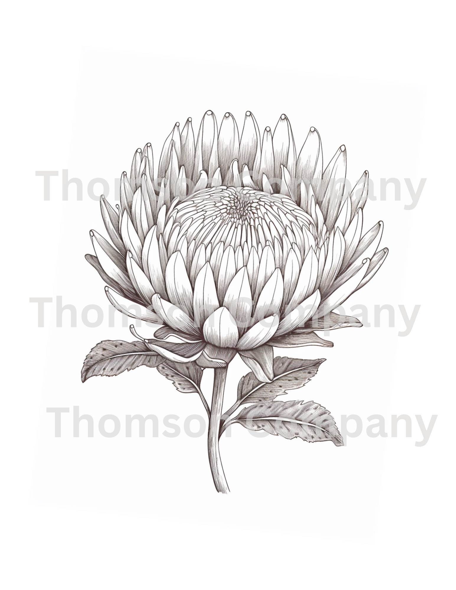 15  Grayscale Delightful Flower Coloring, flower coloring pages printable PDF coloring book page (AI generated image)