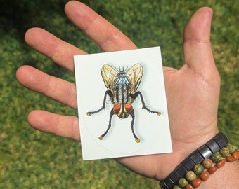 Big Ass Flesh Fly (3.5" tall)