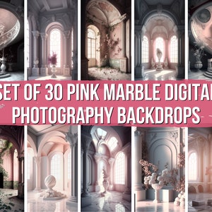May include: Set of 30 digital photography backdrops featuring pink marble and ornate architectural details. The backdrops depict a grand hall with columns, arches, and windows. Some backdrops include a staircase, a vase with flowers, and a statue.