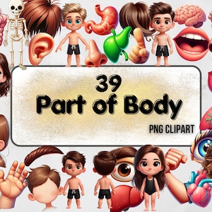 Clipart di parti del corpo per insegnanti, grafica anatomica educativa, download immediato PNG, materiali didattici per la classe