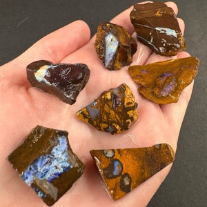May include: Six wet opals of various sizes and shapes. The opals are brown, orange, and black with iridescent blue and green flashes. The opals are arranged on a hand.