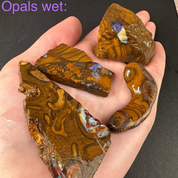 Australian Boulder Opal Rough Raw Crystal Specimen RARE - 1pc YOU CHOOSE - Yowah or Koroit