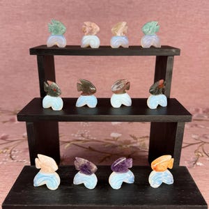May include: A display of small, carved fish figurines in various colors, including green, brown, and orange, arranged on a three-tiered black wooden shelf. The fish are set on a white and blue base.