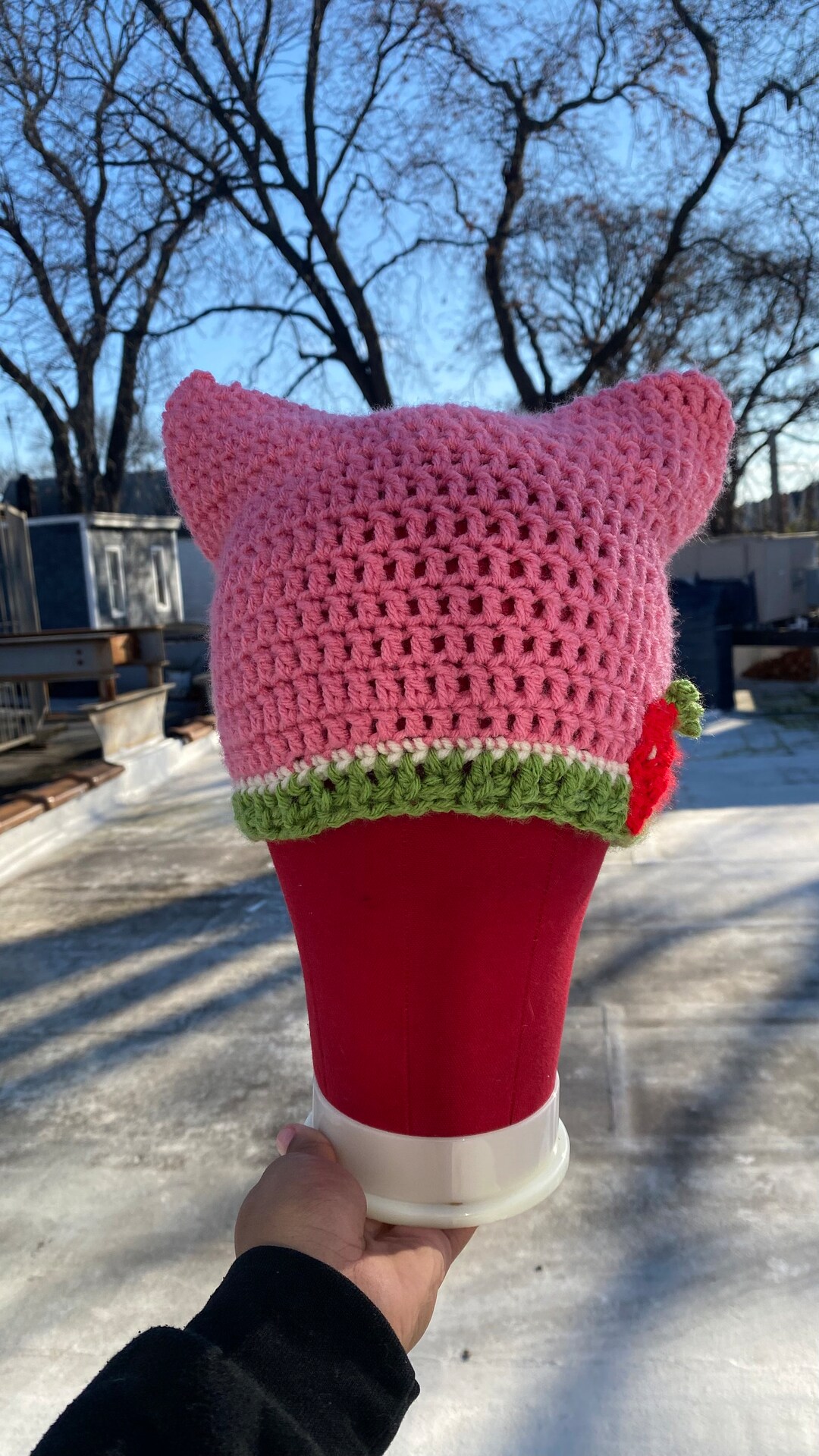 Strawberry Shortcake Cat Beanie/cat Beanie/ Crochet Cat Beanie