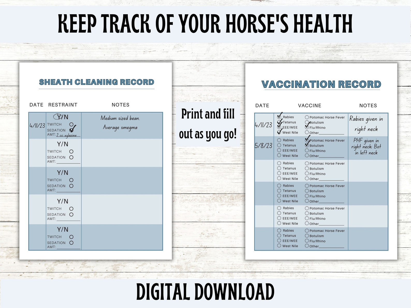 Horse Owner's Record Keeping, Horse Record, Horse Health Record