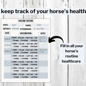 Peut inclure: Un registre de vaccination de cheval imprimable avec un sch&eacute;ma de couleurs gris et blanc. Le registre comprend des sections pour le nom du cheval, le propri&eacute;taire, le v&eacute;t&eacute;rinaire, la date de naissance, la date, la vaccination et les notes. La section de vaccination comprend des cases &agrave; cocher pour la rage, EEE/WEE, le Nil occidental, le t&eacute;tanos, la grippe/rhino et le botulisme.