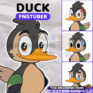 Duck PNGTuber | PNGTuber Twitch | PNGTuber Premade | Streaming | Ready to use OBS/Streamlabs |YouTube| Cute Duck VEADOTUBE PNGTuber