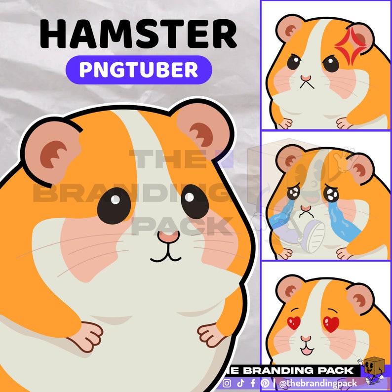 Hamster PNGTuber PNGTuber Twitch PNGTuber Premade Streaming Ready to use OBS/Streamlabs YouTube Cute Hamster VEADOTUBE PNGTuber image 1