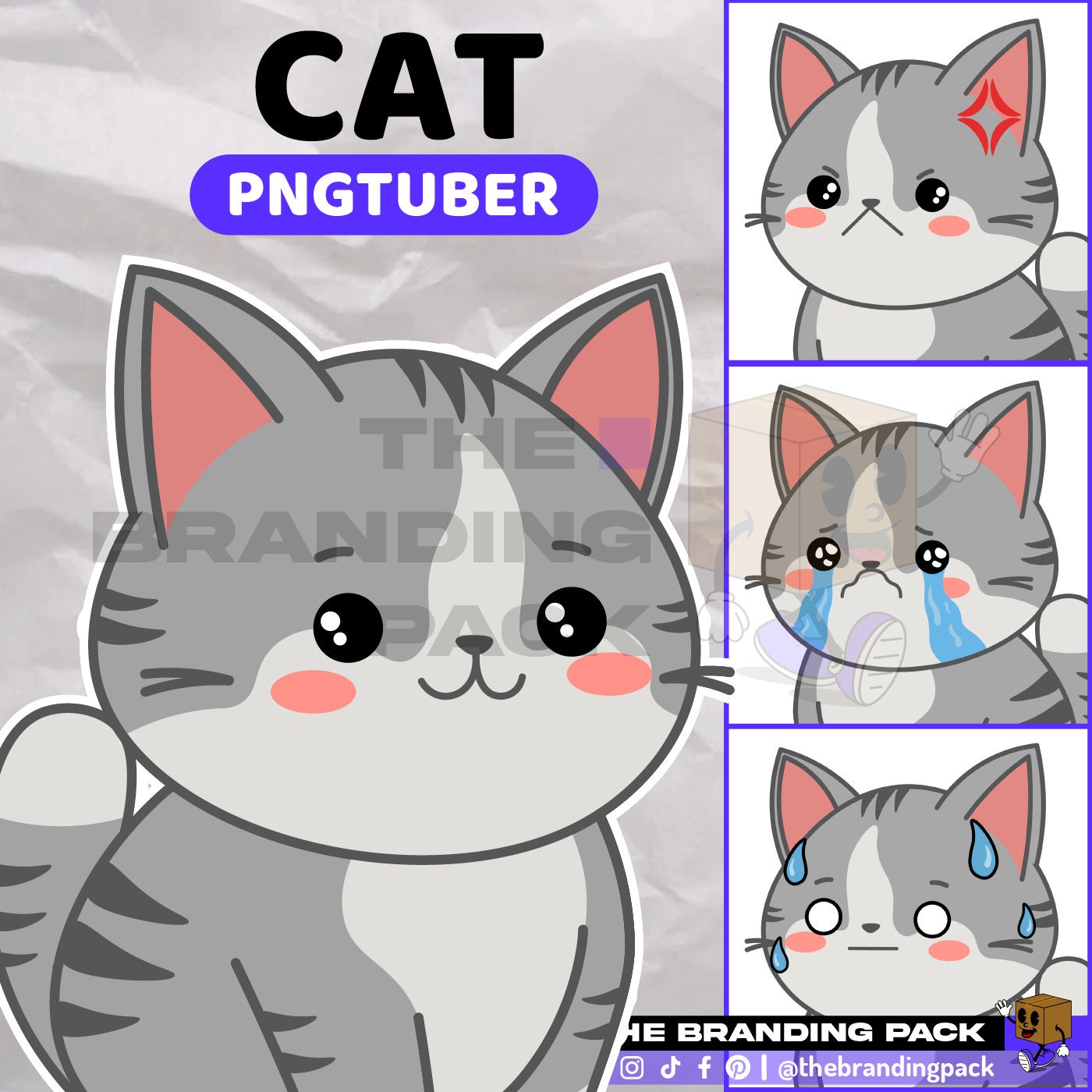 Cat Sticker Overlay Stream Overlays Pngtuber Pack Grey Cat Pngtuber Camera Overlays Twitch ...