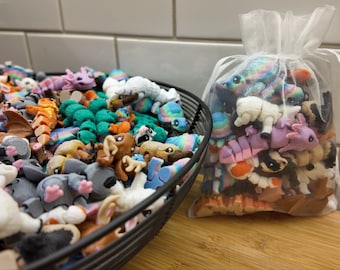 Animals Fidget Toys Assorted Pack of 10