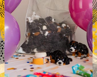 Burnese Mountain Dog Pack of 10 Animal Fidget Toys | Articulating Pocket Desk Pet Stocking Stuffers Candy Small Prizes Party Favor
