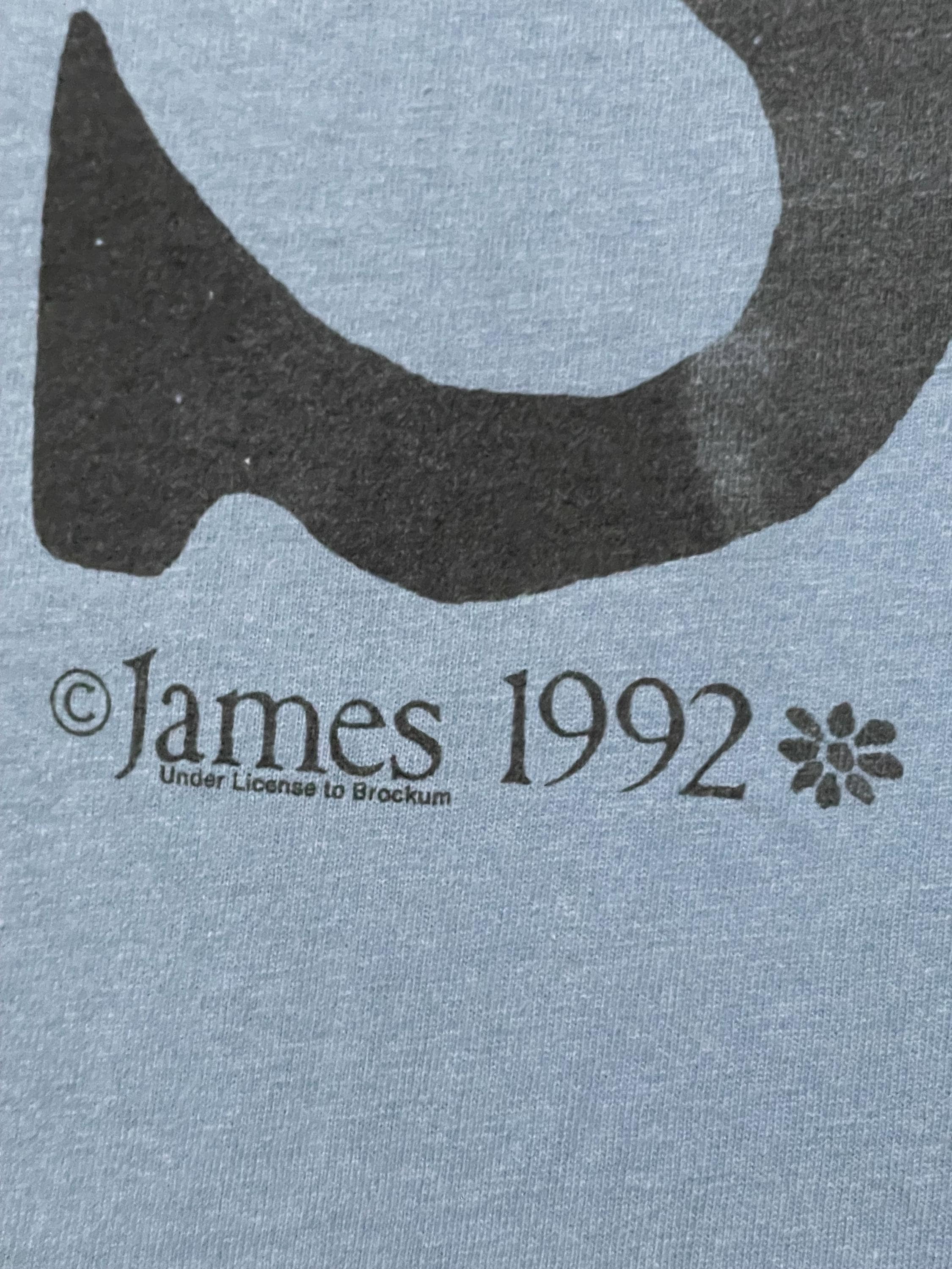 Vintage 90s James Original Band Tee Art Flower Album T Shirt