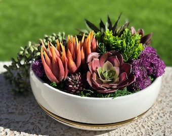 Faux Succulent Arrangement: 10&quot; White Planter with Gold Trim
