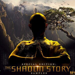 Op de afbeelding: Digitale kunst met een silhouet in een gele jurk met gevouwen handen. De achtergrond toont een berglandschap met een tempel, vogels en een boom. Tekst: "The Shaolin Story Samples."