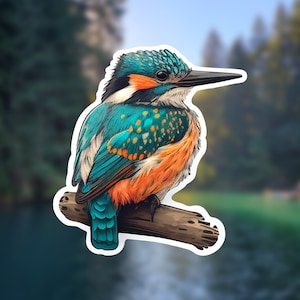 Kingfisher Bird Sticker // Weatherproof Outdoor Sticker // Laminated Vinyl 3&quot;- Nature, Colorful, Birdwatching