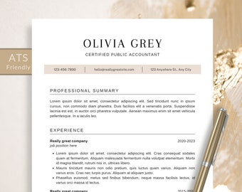 Clean, Executive Resume Template 2023, Modern CEO Resume Template for Word and Apple Pages, Resume Template, 1, 2 Page CV Template Clean