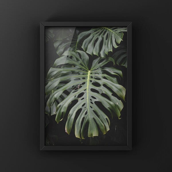 Monstera Plant Wall Art - Botanical Photography Printable Decor