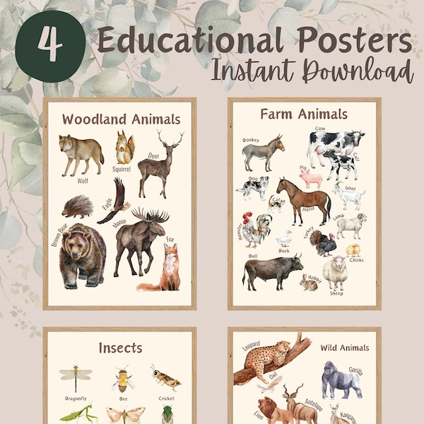 Set of 4 Educational Posters, Homeschool Prints, Montessori Classroom Decor, Toddler Play Room I Insects, Wild, Woodland, and Farm Animals