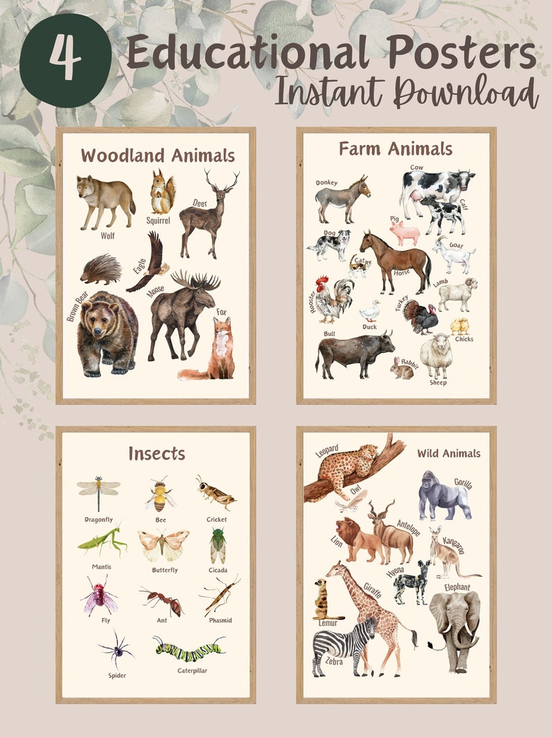 Set of 4 Educational Posters, Homeschool Prints, Montessori Classroom ...