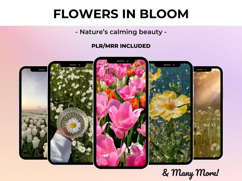 May include: Five phone screens displaying images of flowers in bloom. The screens show a variety of flowers, including white tulips, pink tulips, yellow daisies, and white flowers with a yellow center. The text "FLOWERS IN BLOOM" and "Nature's calming beauty" is displayed at the top of the image.