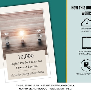 PLR MRR 10,000 Digital Product Ideas for Passive Income eBook - Done for You Digital Products Resell Rights Digital Marketing Resell Vault 画像 8