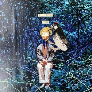 Through the Eyes - Original Collage Print