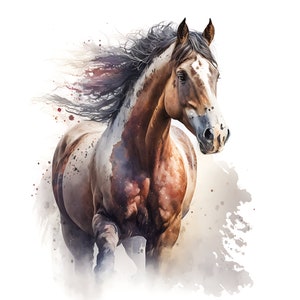Digital Water Color Horse Art, Horse ClipArt, Horse Image Bundle, Commercial Horse Digital Download, Horse Images