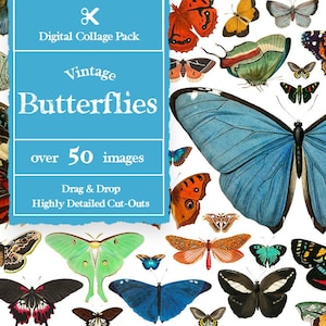 Vintage Butterflies Collage Creator 100+ Images || Vintage Butterflies Digital Collage Maker || Vintage Collage Creator for Photoshop