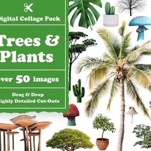 Trees & Plants Collage Creator 100+ Images || Plants Digital Collage Maker || Plants Collage Creator for Photoshop || Plants Images